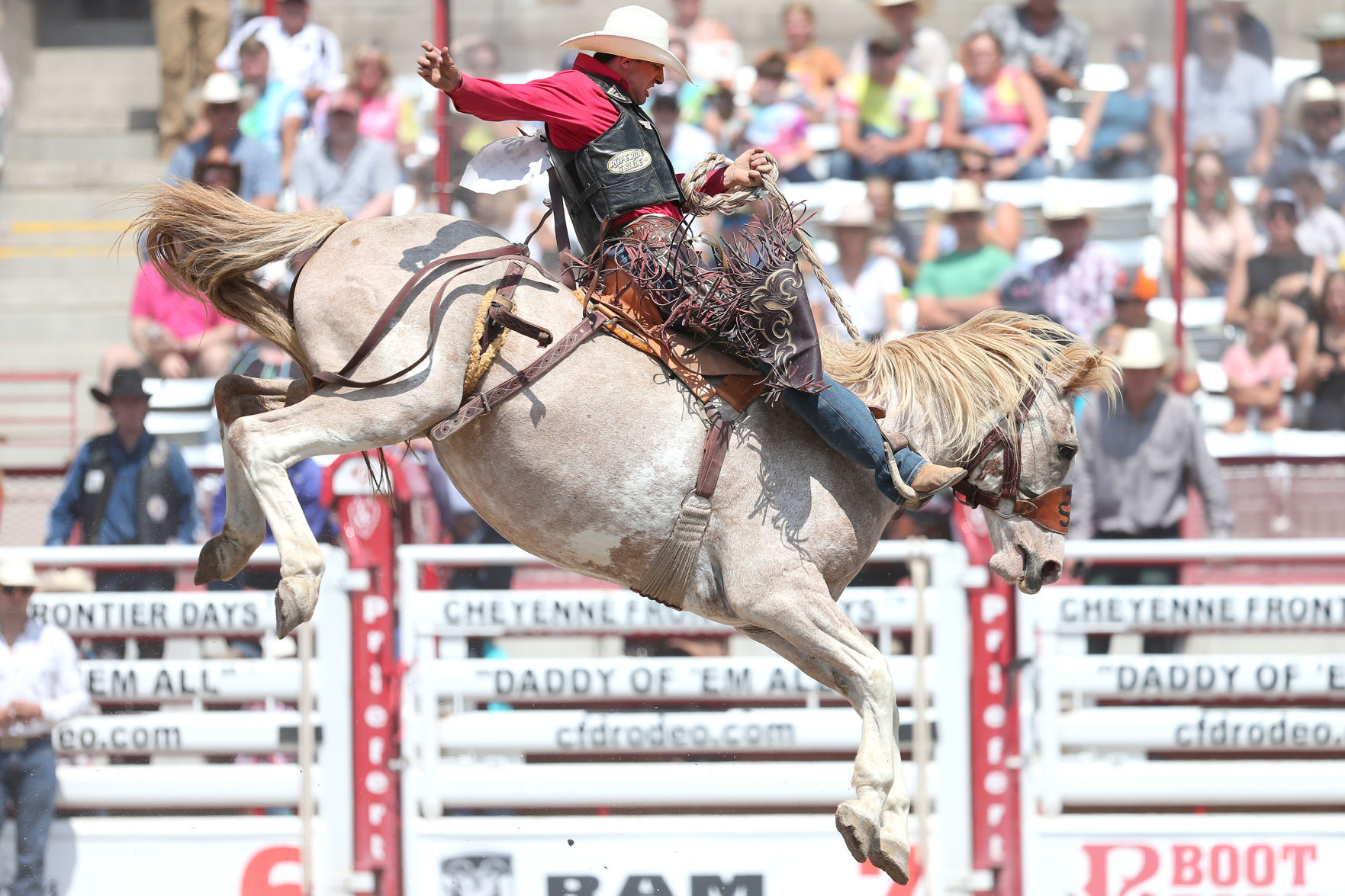 Saddle bronc riding